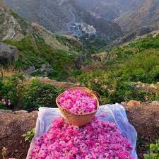 الجبل ٢
