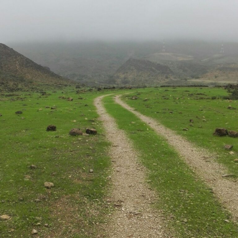 صحنلوت 6 768x768