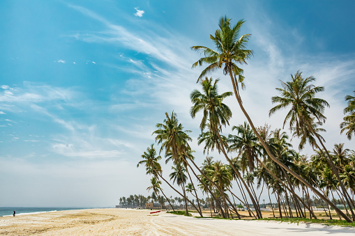 Al Haffa Beach in Salalah, Dhofar governorate, Oman.