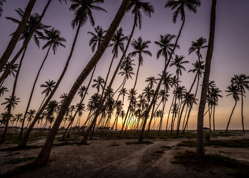 Al Haffa Beach otour شاطئ الحافة اوتور 3
