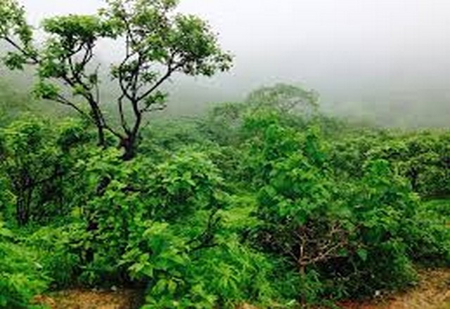 Ittin Plain otour سهل اتين اوتور 2