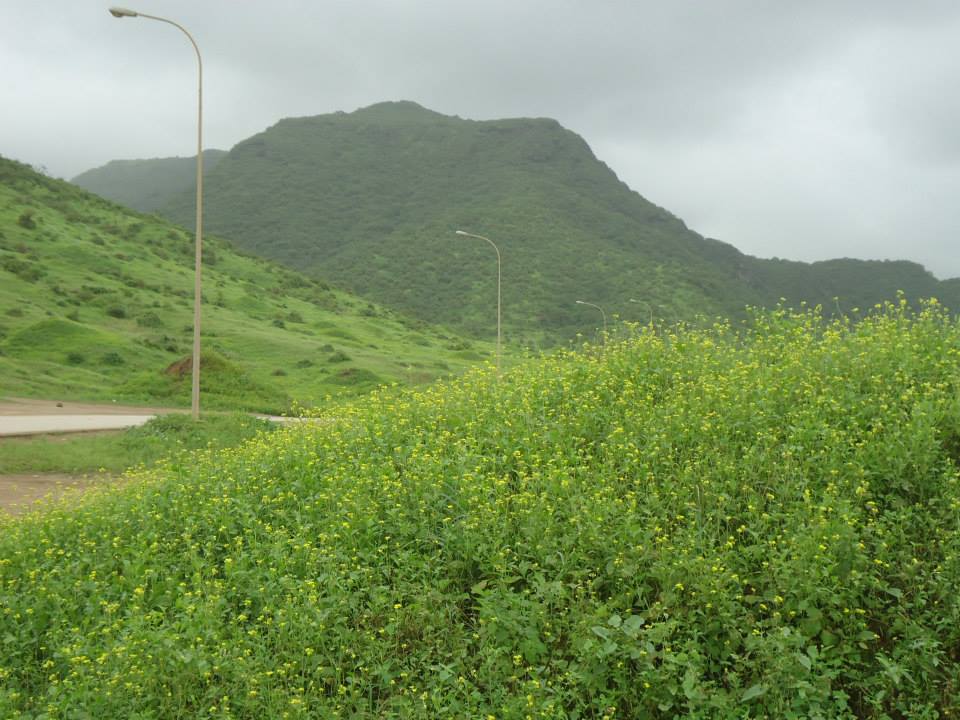 Sahlnoot Plain سهل صحلوت اوتور otour